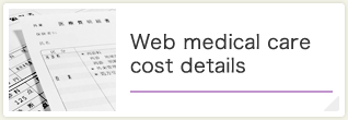 Web medical care cost details