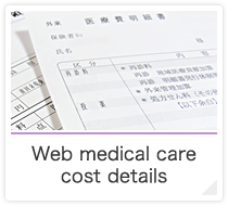 Web medical care cost details